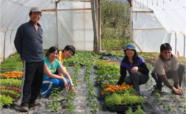 The family working together in their greenhouse.